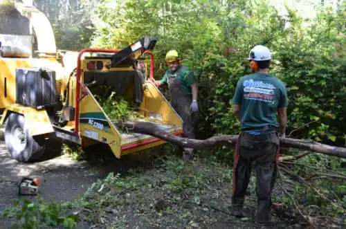 tree services La Verne